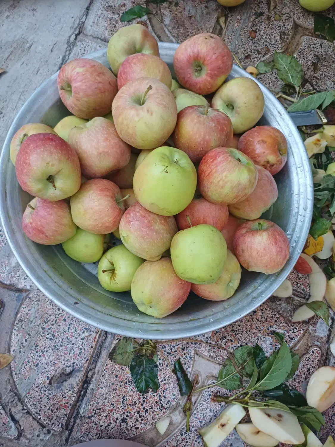 سرکه سیب خانگی|خوردنی و آشامیدنی|خوی, |دیوار