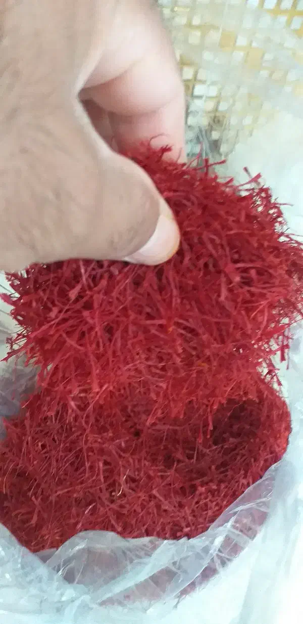 زعفران اصیل|خوردنی و آشامیدنی|تربتحیدریه, شهرک ولیعصر|دیوار