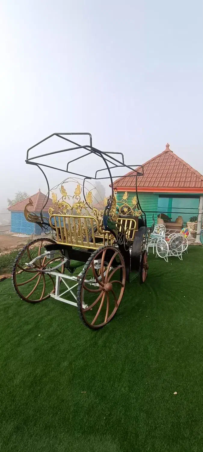 کالسکه اسب|اسب و تجهیزات اسبسواری|کازرون, |دیوار