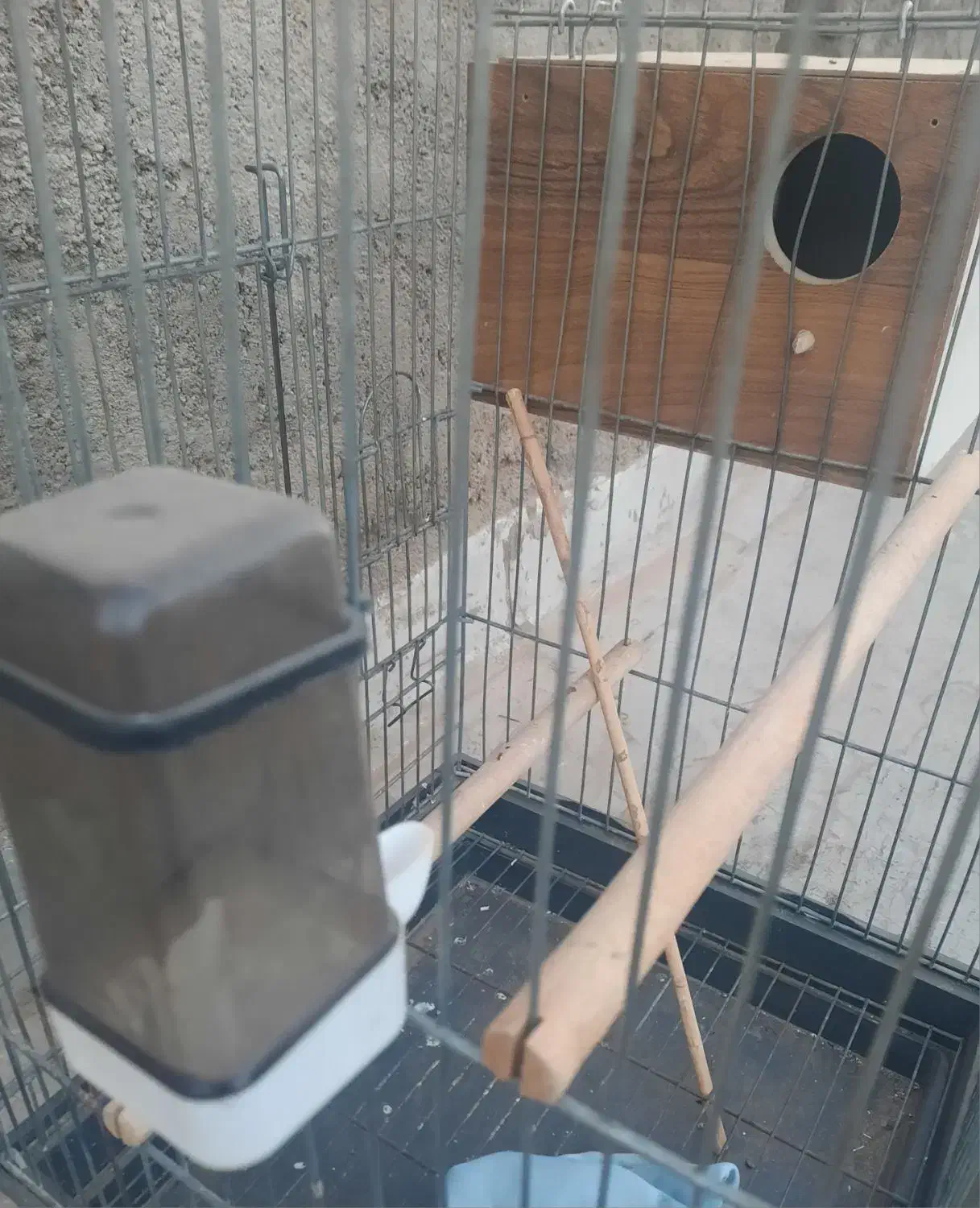 قفس بزرگ و کارتن خالی tcl|لوازم جانبی حیوانات|قم, شهرک فاطمیه|دیوار