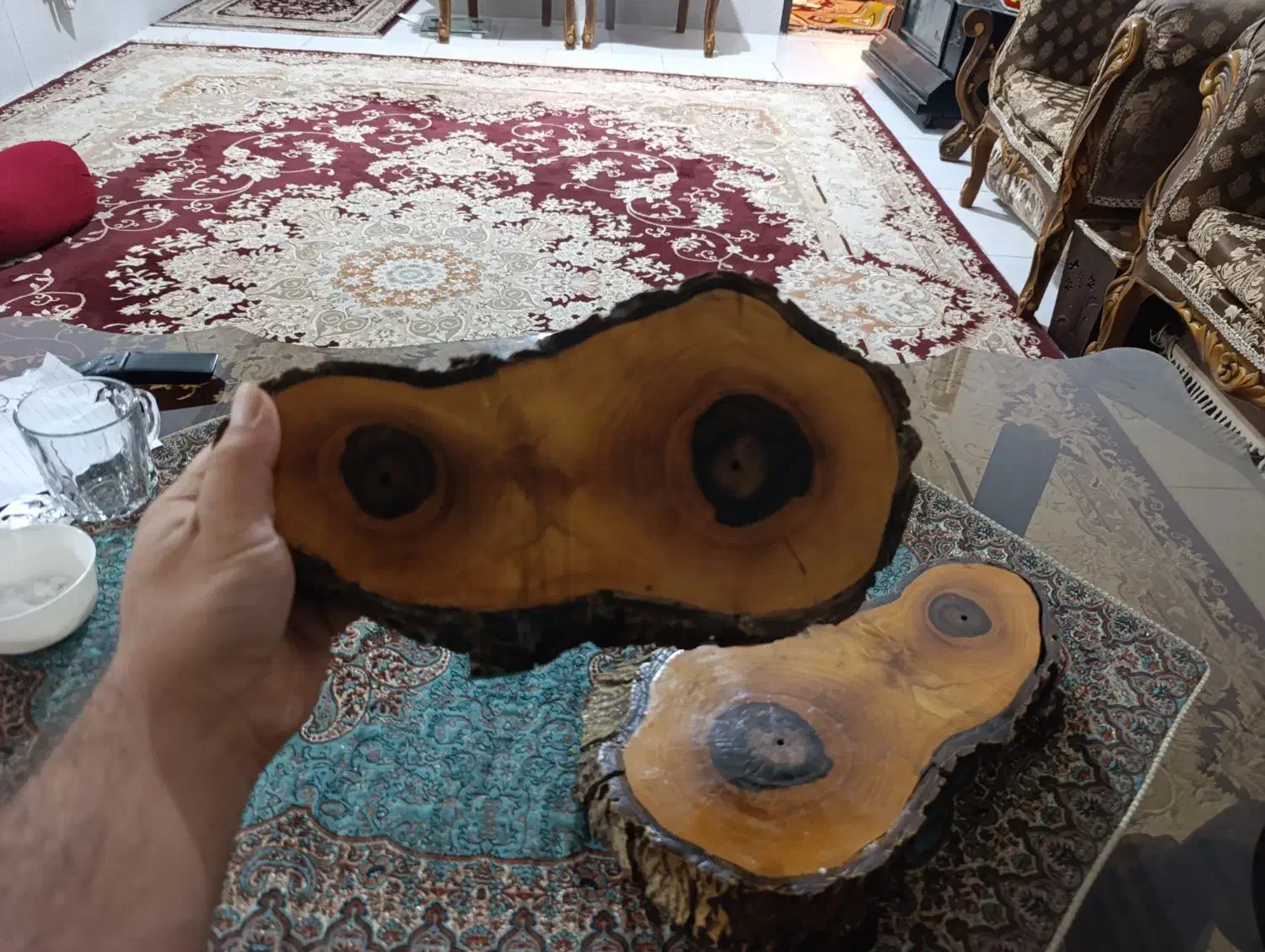 شلف دیواری طرح تنه درخت (کنده درخت )رزین شده|کتابخانه، شلف، قفسههای دیواری|فردیس, شهرک شهید حسینی|دیوار