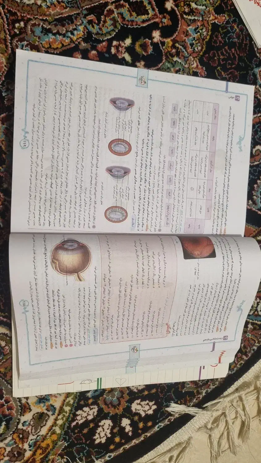 کتاب زیست شناسی خیلی سبز پایه یازدهم ویژه کنکور|کتاب و مجله آموزشی|بندر انزلی, باغ زمانی|دیوار