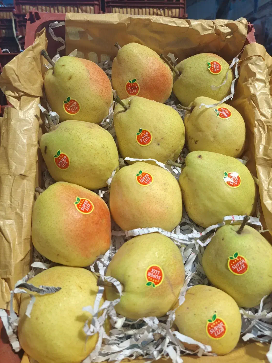 گلابی درگزی|خوردنی و آشامیدنی|اقبالیه, |دیوار