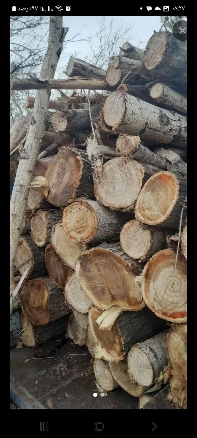 خرید انواع چوب ودرختان خشک وتر باقیمت نقد|خدمات باغبانی و درختکاری|آذرشهر, |دیوار
