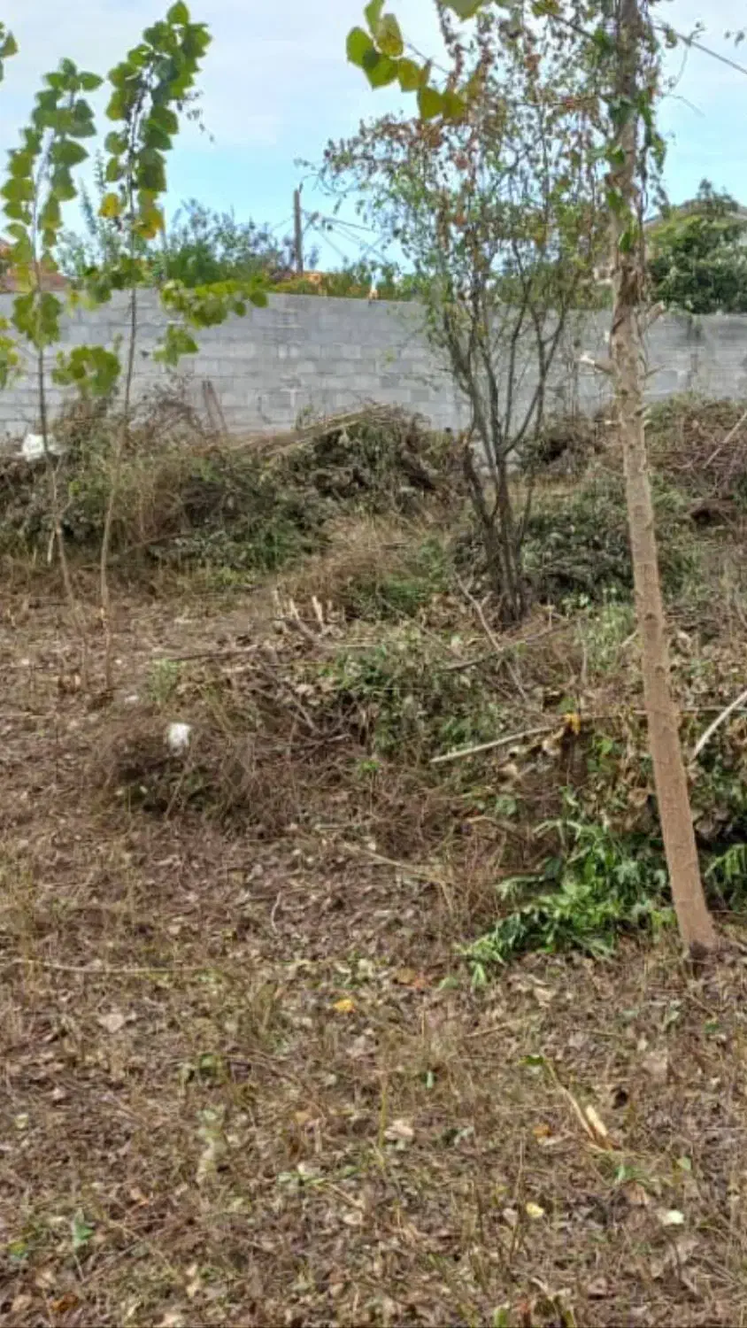 ۱۲۶ متر زمین مسکونی در عرفان(فاز دو گلسار)|فروش زمین و ملک کلنگی|رشت, فرزانه|دیوار