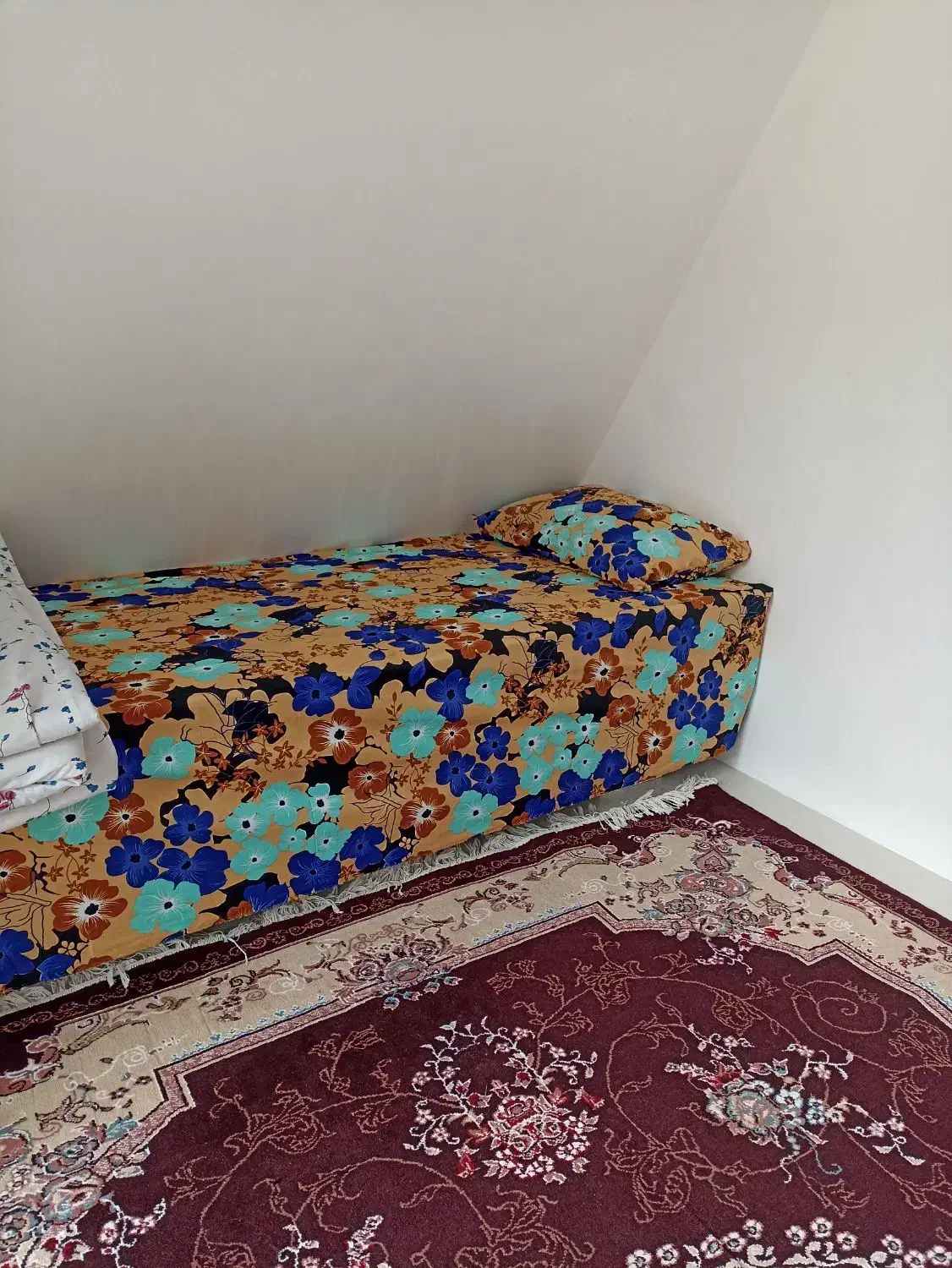 ویلا سوئیسی تمیز و مرتب دو خوابه|اجارهٔ کوتاه‌مدت ویلا و باغ|رضوانشهر, |دیوار