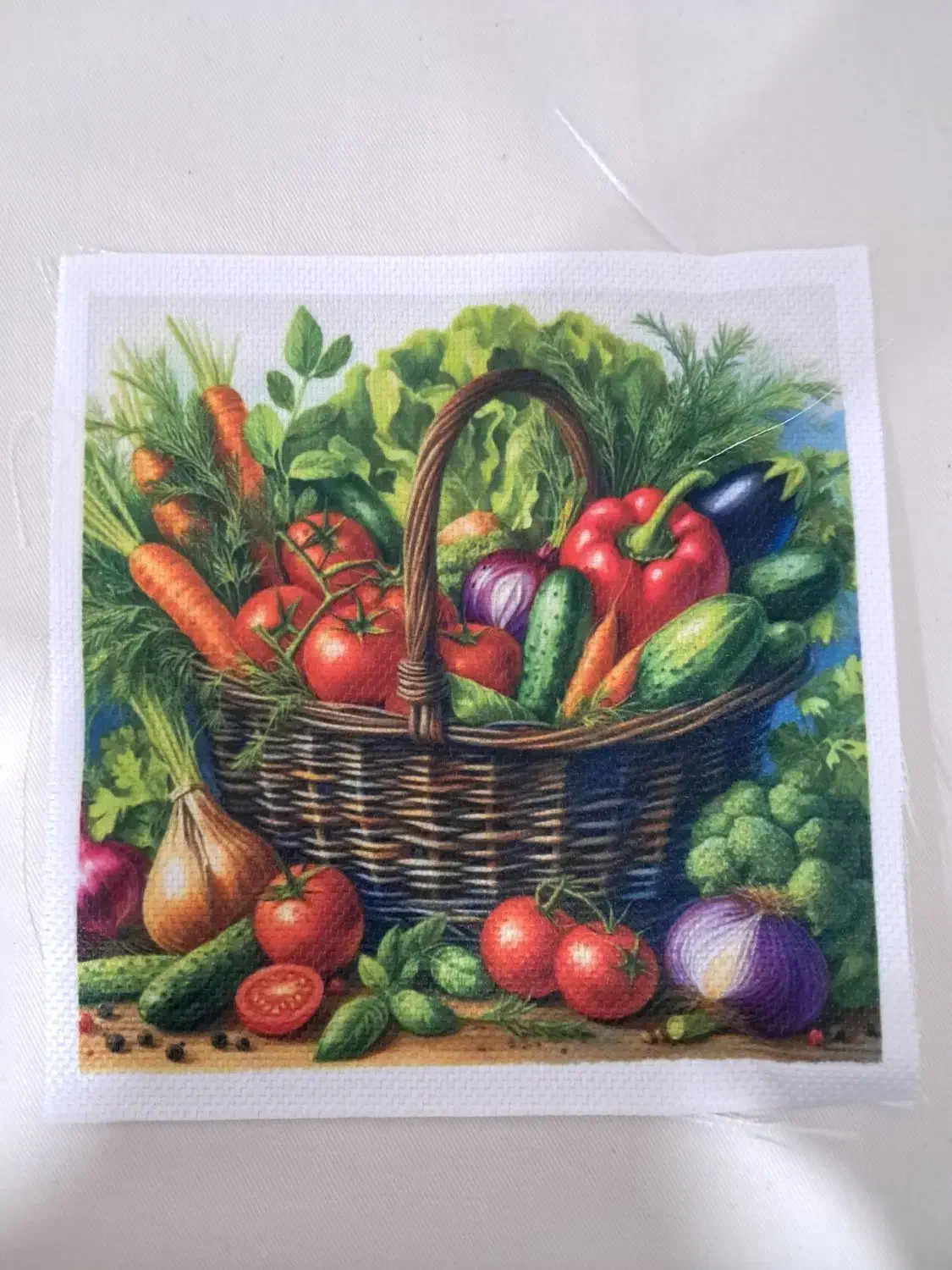 دستگیره آشپاز خانه|سفره، حوله، دستمال آشپزخانه|اردبیل, |دیوار