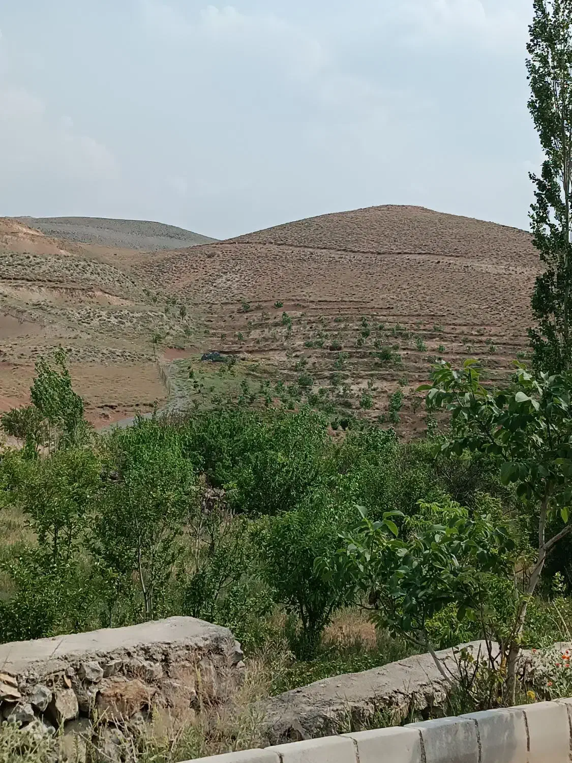 فروش زمین 307 متری با سند تک برگ و انشعابات کامل|فروش زمین و ملک کلنگی|لواسان, |دیوار