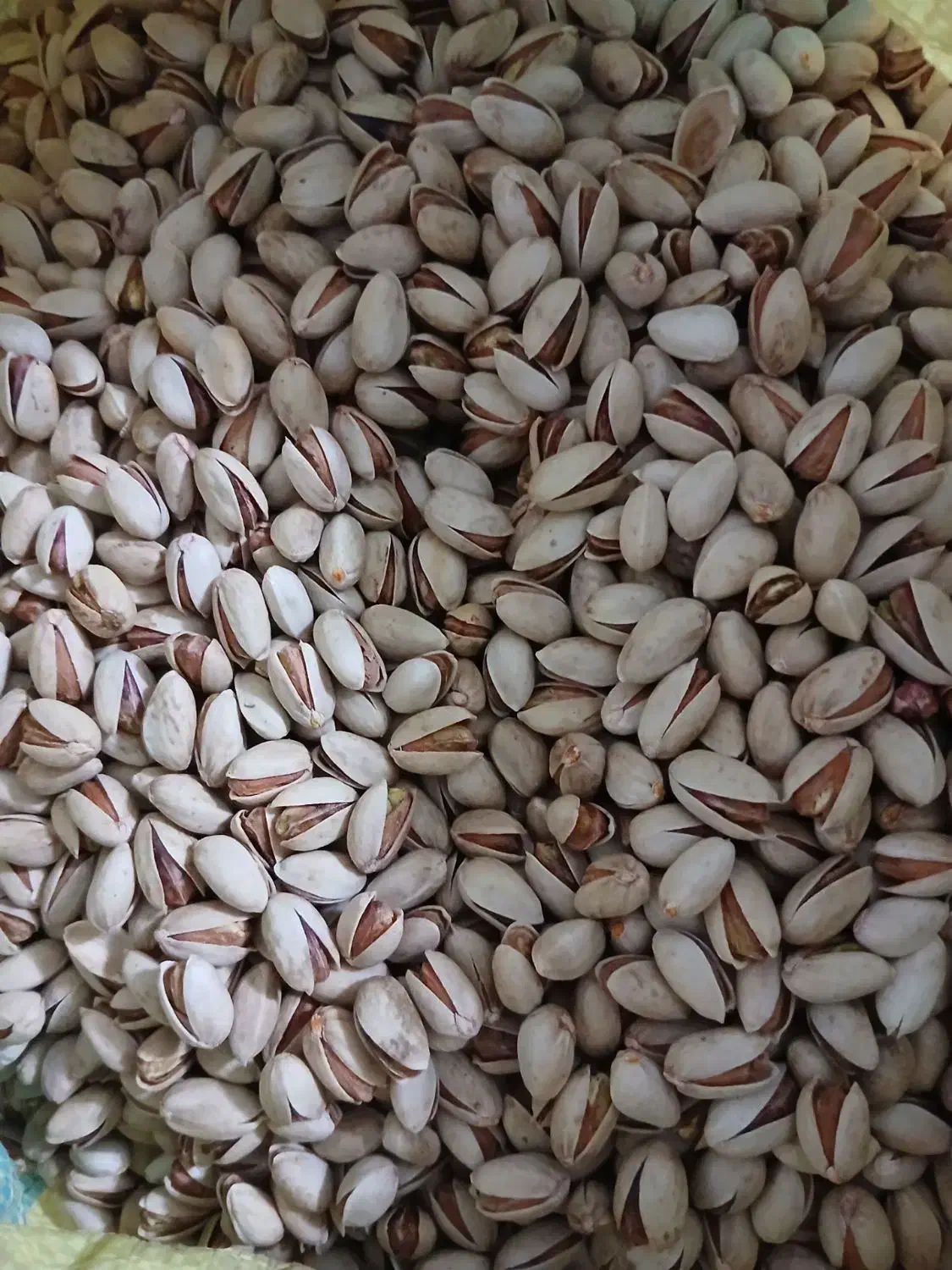 پسته|خوردنی و آشامیدنی|تربت‌حیدریه, شهدا|دیوار