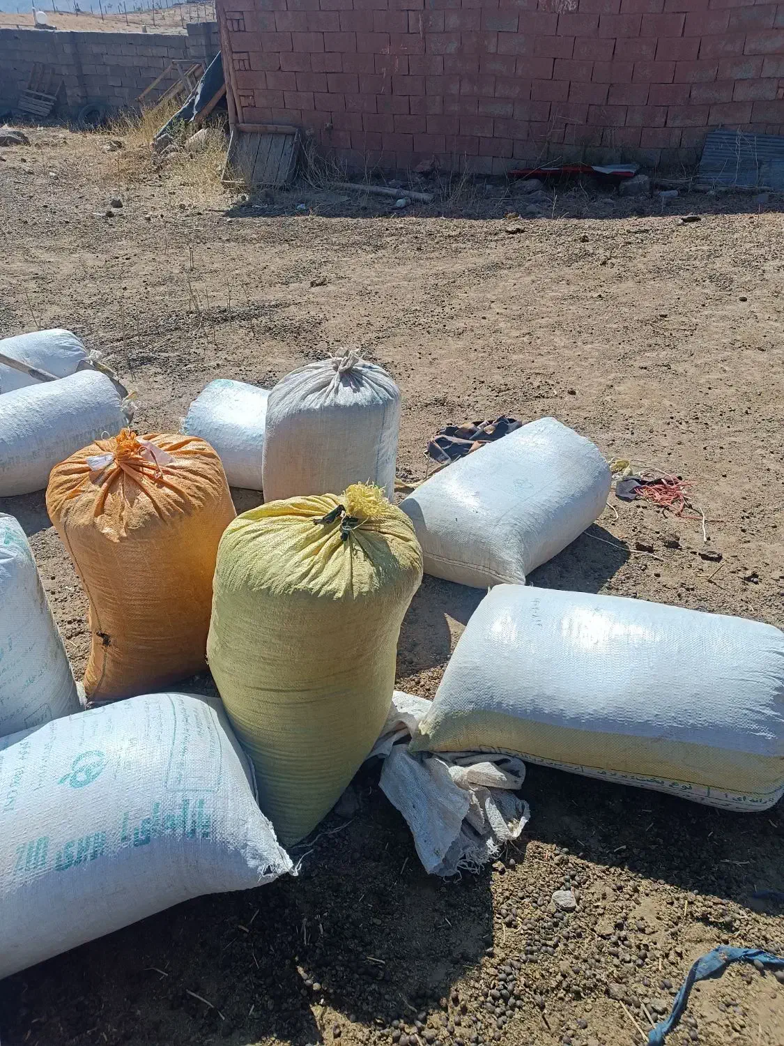 کود گوسفندی درجه یک|خدمات باغبانی و درختکاری|طالقان, |دیوار