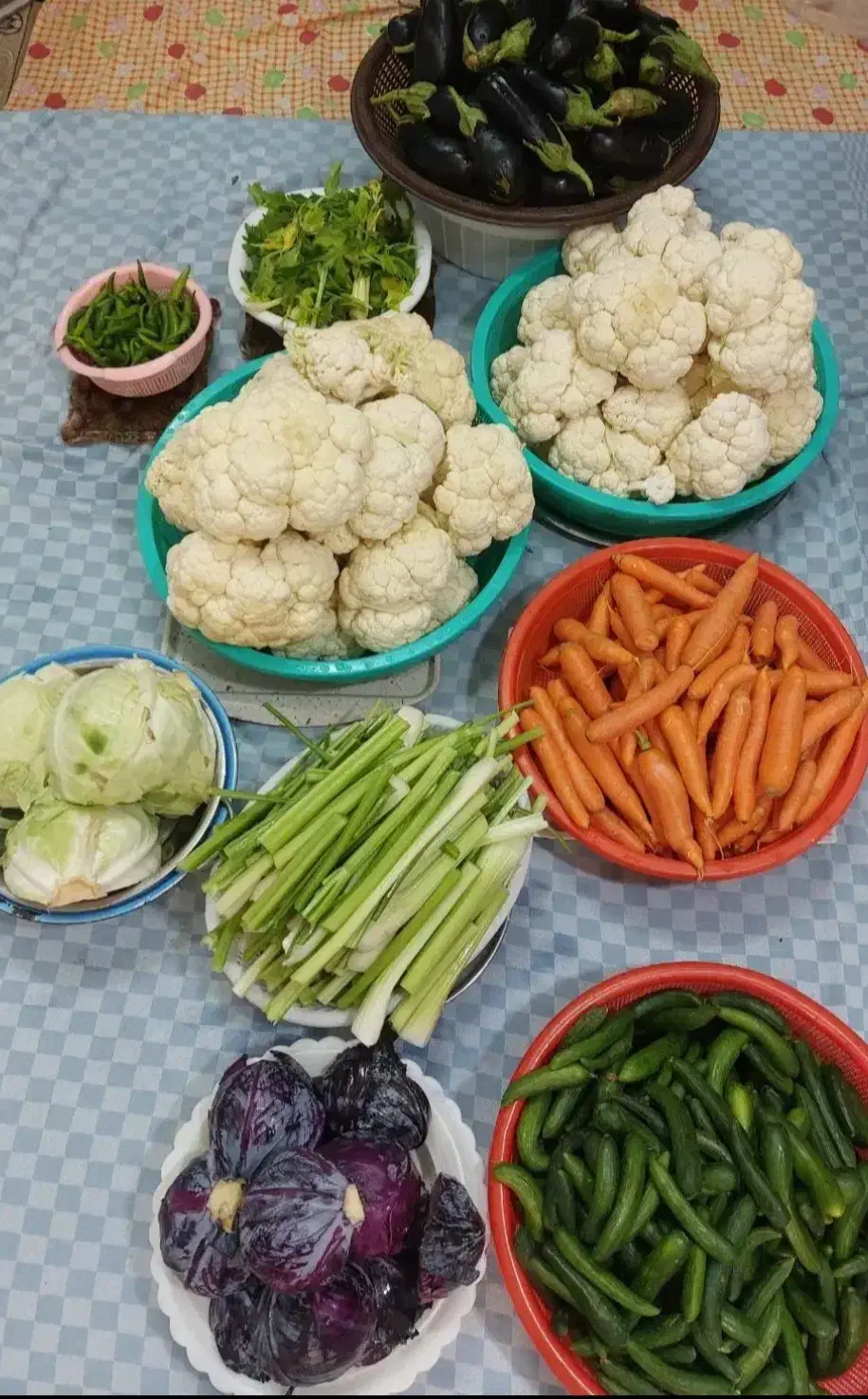 ترشی فصل خاله لیلا|خوردنی و آشامیدنی|قم, چهار امامزاده|دیوار