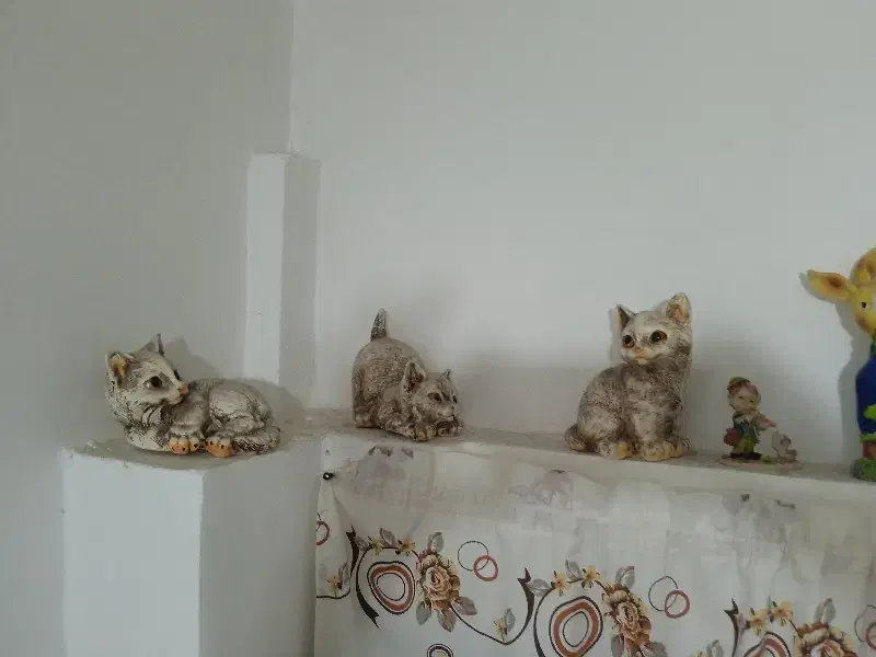 لوازم خانگی|مجسمه، تندیس، ماکت|ارومیه, |دیوار