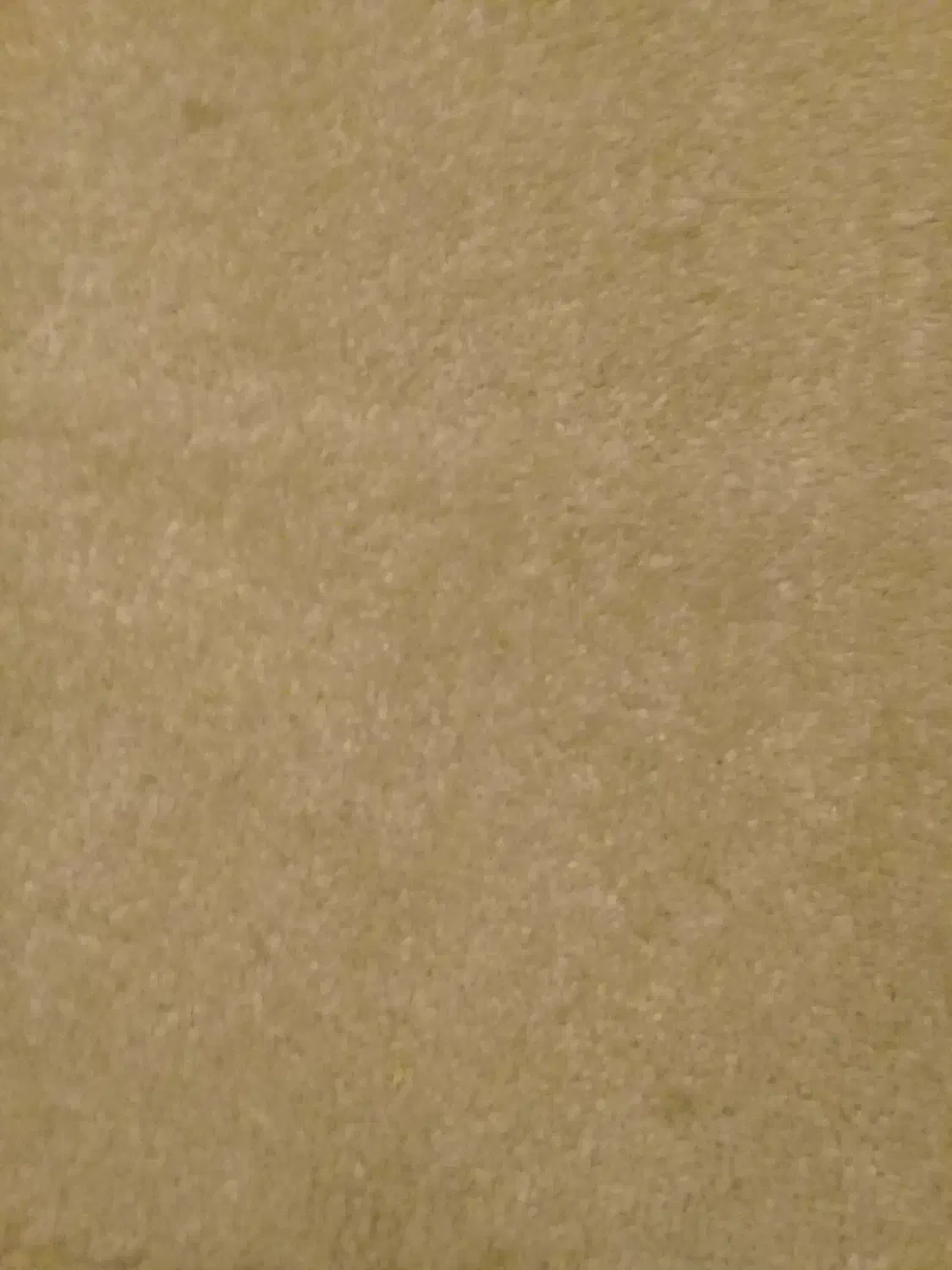 یک عدد موکت نرم کلفت|موکت|بندرعباس, |دیوار