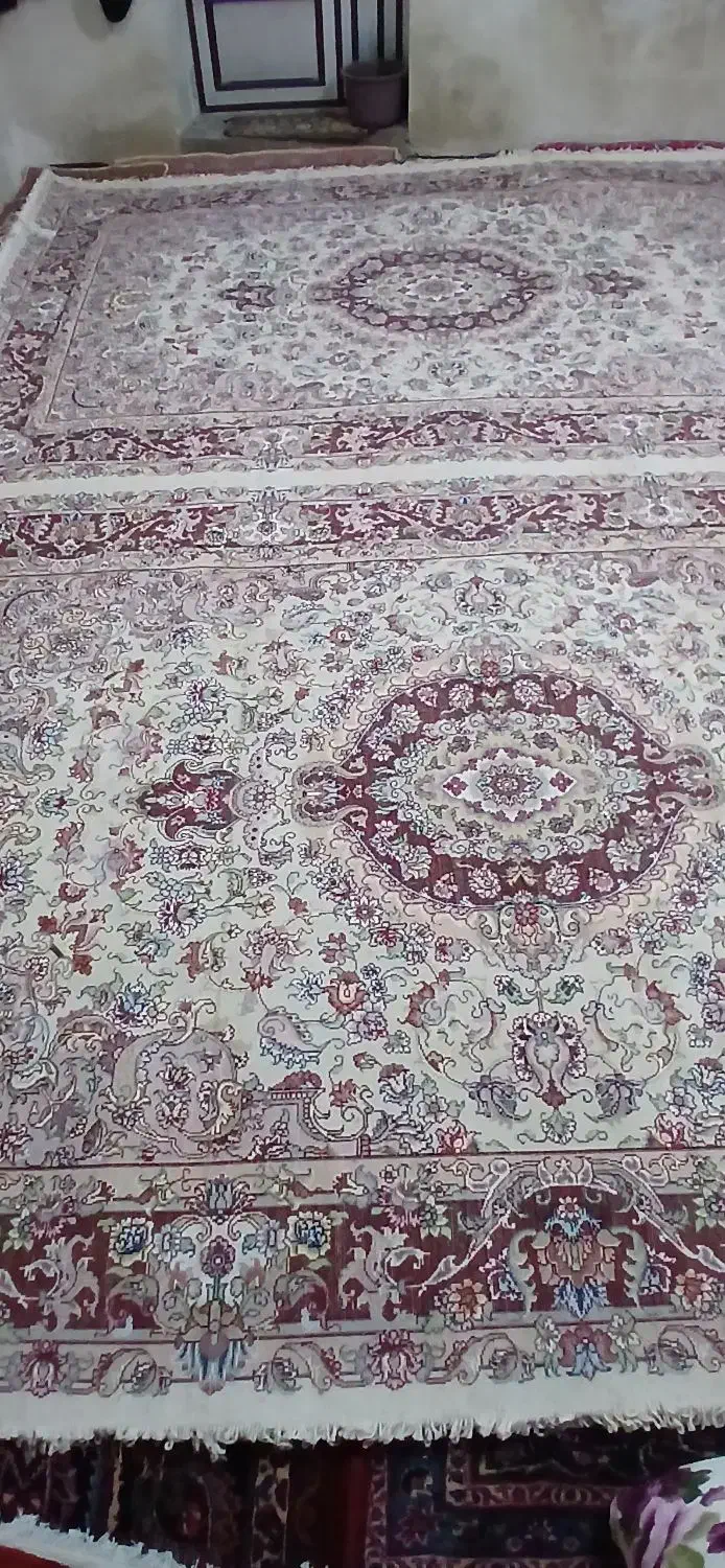 فرشِ فروشی|فرش|عجب شیر, |دیوار