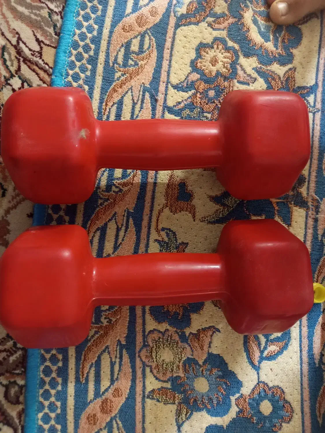 دمبل|تجهیزات ورزشی|مشهد, حضرت حجت|دیوار