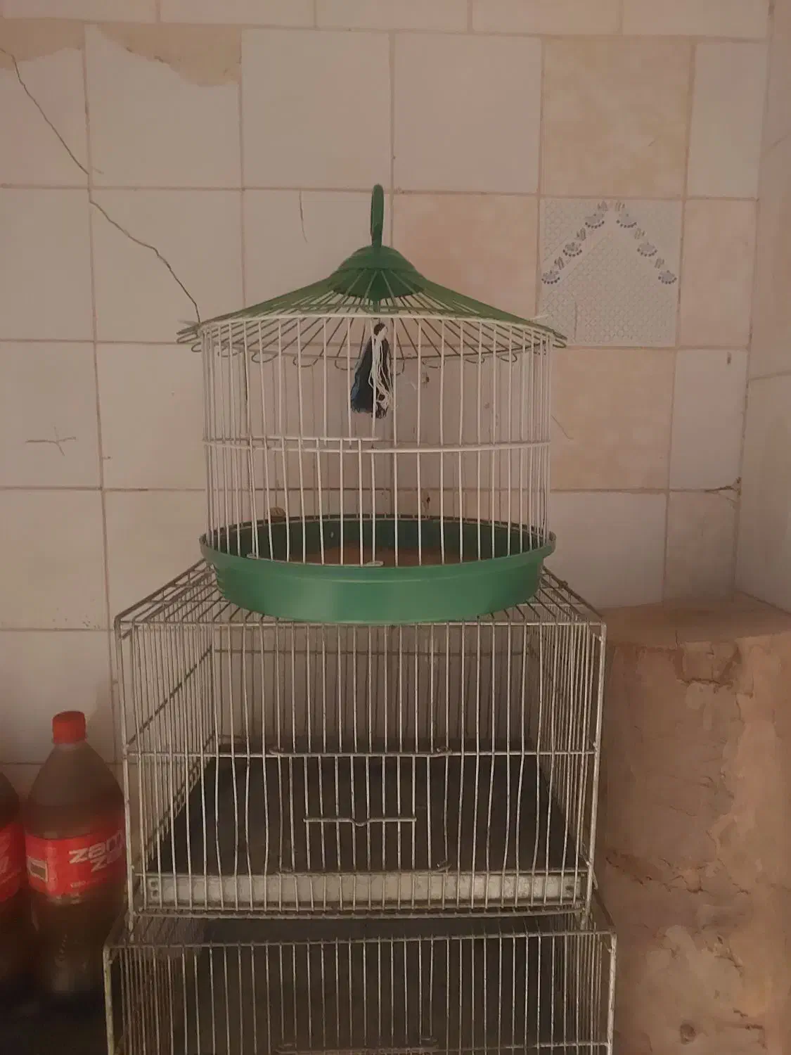 قفس|لوازم جانبی حیوانات|قم, بلوار امین و ساحلی|دیوار