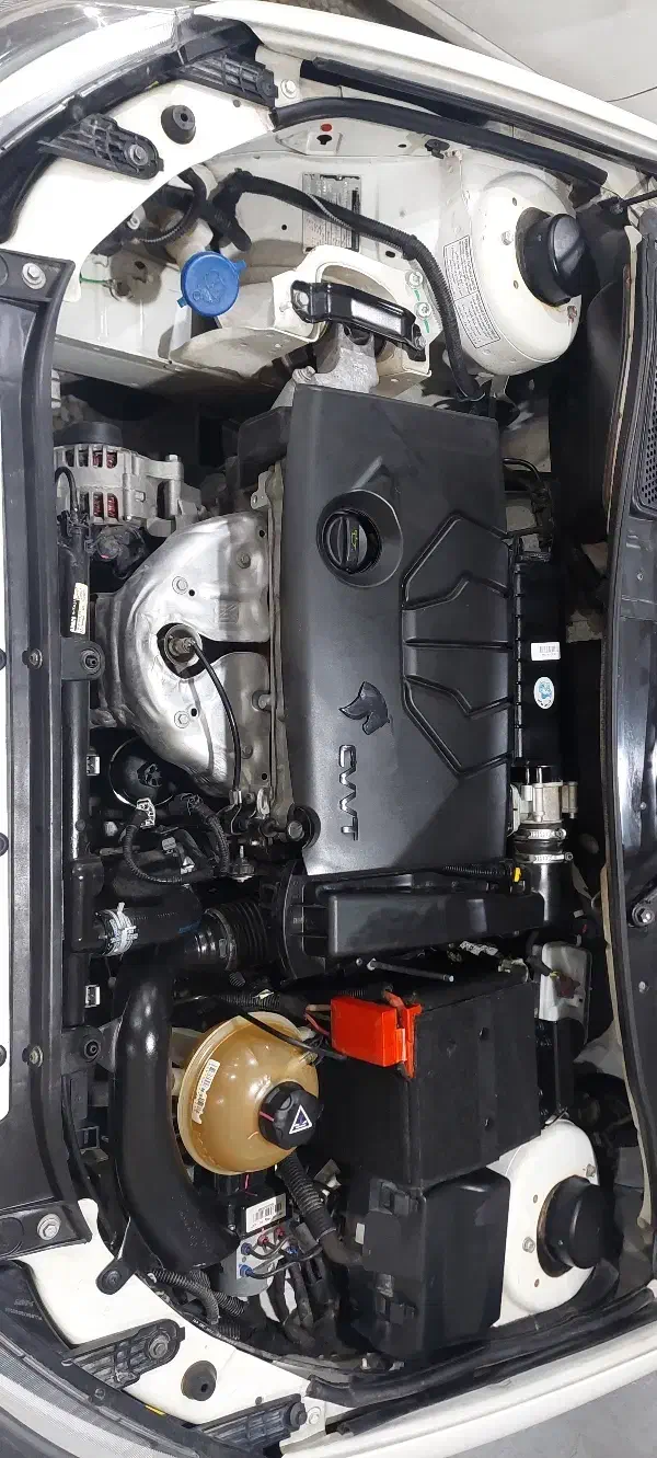 رانا پاناروما|خودرو سواری و وانت|اهواز, گلستان|دیوار