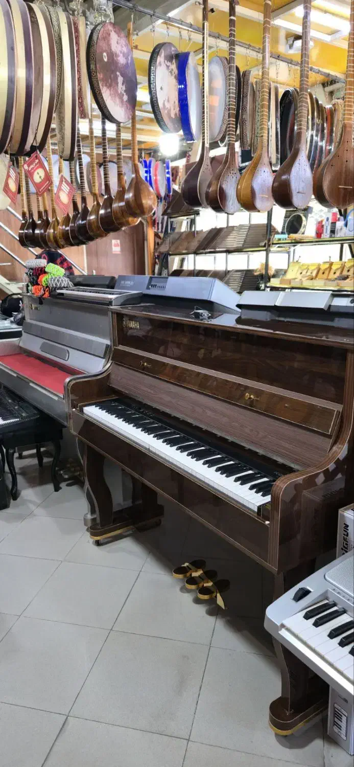 پیانو /& صدایٍ متنوع|پیانو، کیبورد، آکاردئون|مشهد, ولیعصر (شهرک غرب)|دیوار