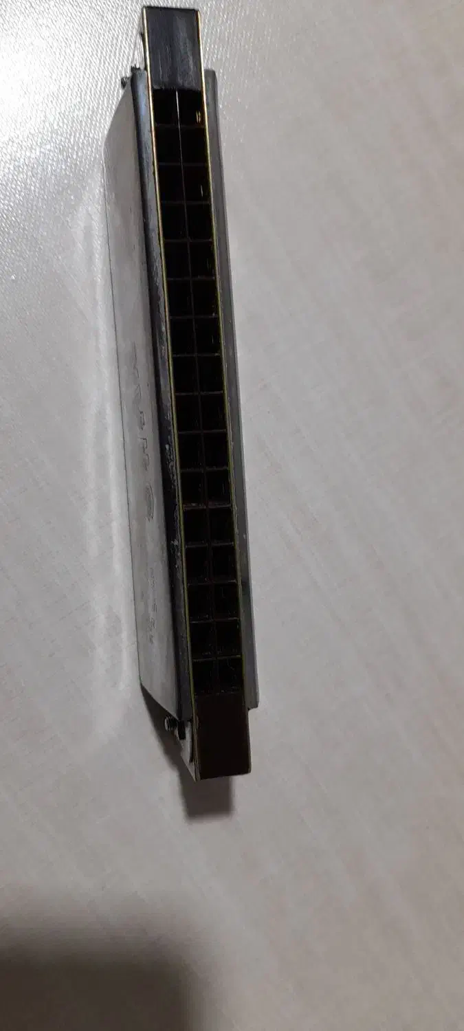 ساز دهنی|سازهای بادی|مشکین‌دشت, |دیوار