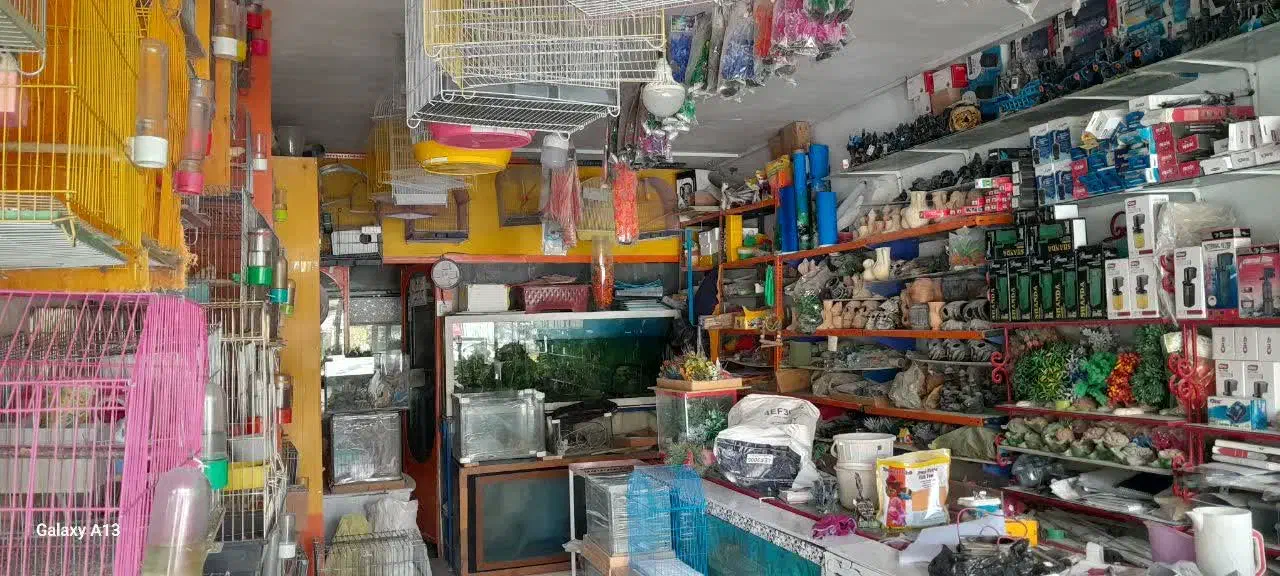 فروش سه دهنه مغازه|فروش مغازه و غرفه|داران, |دیوار