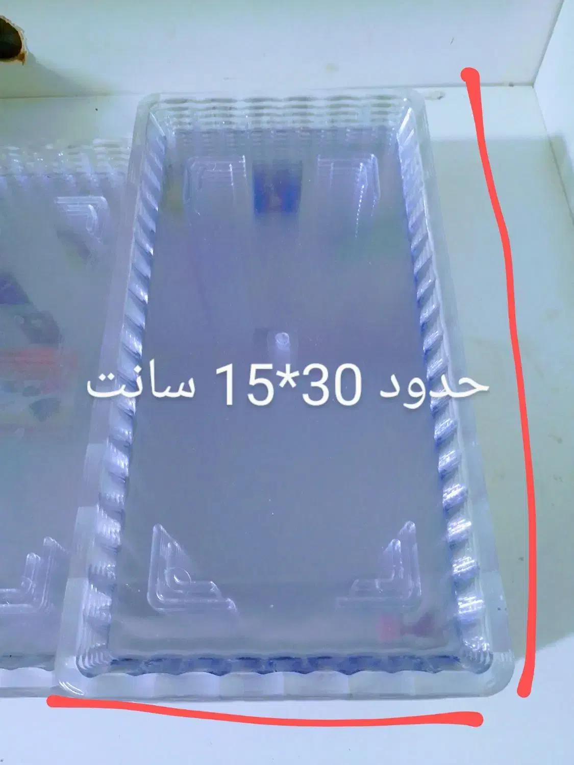 سینی 250 عدد|ظروف نگهدارنده، پلاستیکی، یک‌بارمصرف|تهران, مشیریه|دیوار