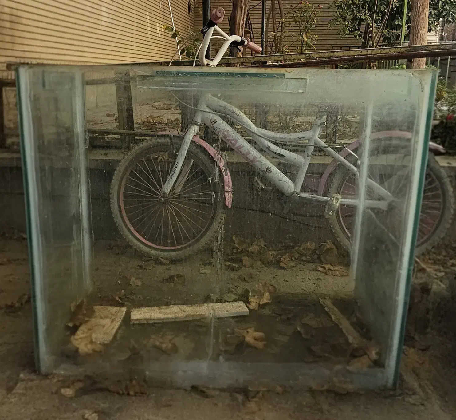 آکواریوم قیمت توافقی|ماهی|اصفهان, مولوی|دیوار