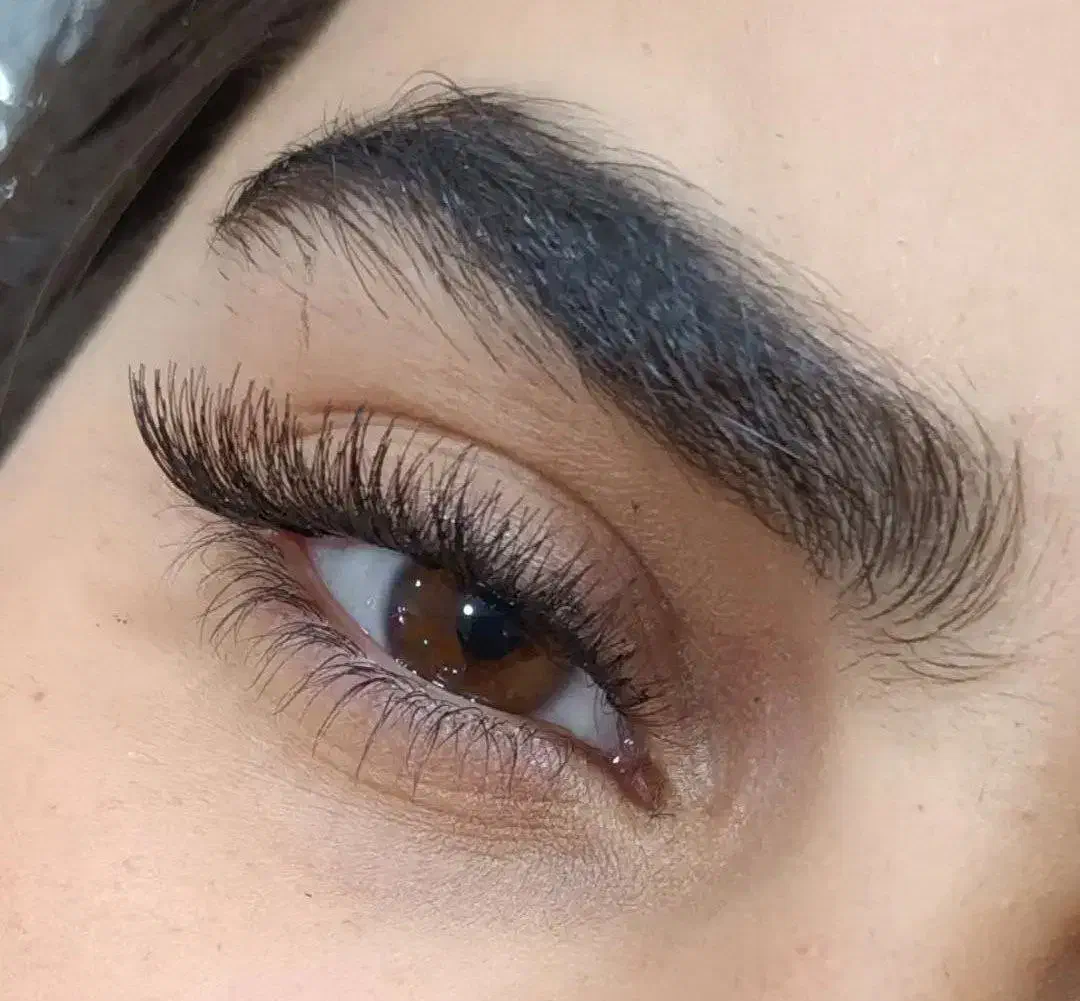 مدل مژه|خدمات آرایشگری و زیبایی|ایلام, |دیوار