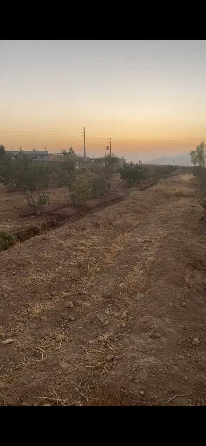 باغ پسته|فروش زمین و ملک کلنگی|شیراز, حومه شیراز|دیوار