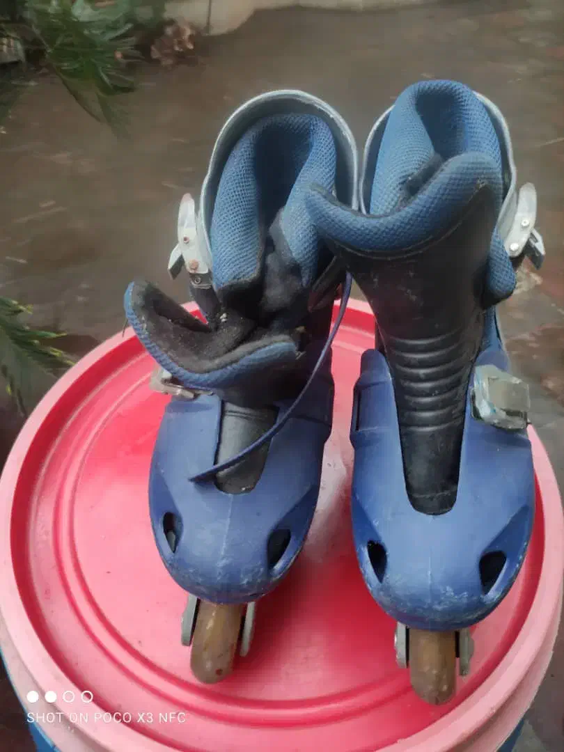 کفش مخصوص اسکیت کامل سالم درحد نو سایز ۳۹|دوچرخه، اسکیت، اسکوتر|رشت, کوی امام رضا|دیوار