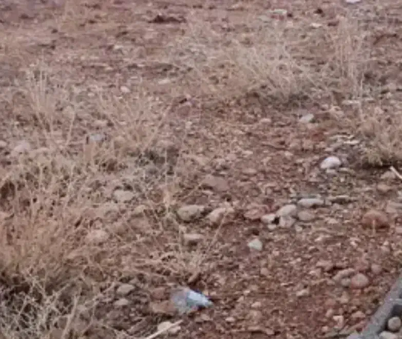 250مترزمینواقع درآب چناران لوداب بالای زیر گزر|فروش زمین و ملک کلنگی|لوداب, |دیوار