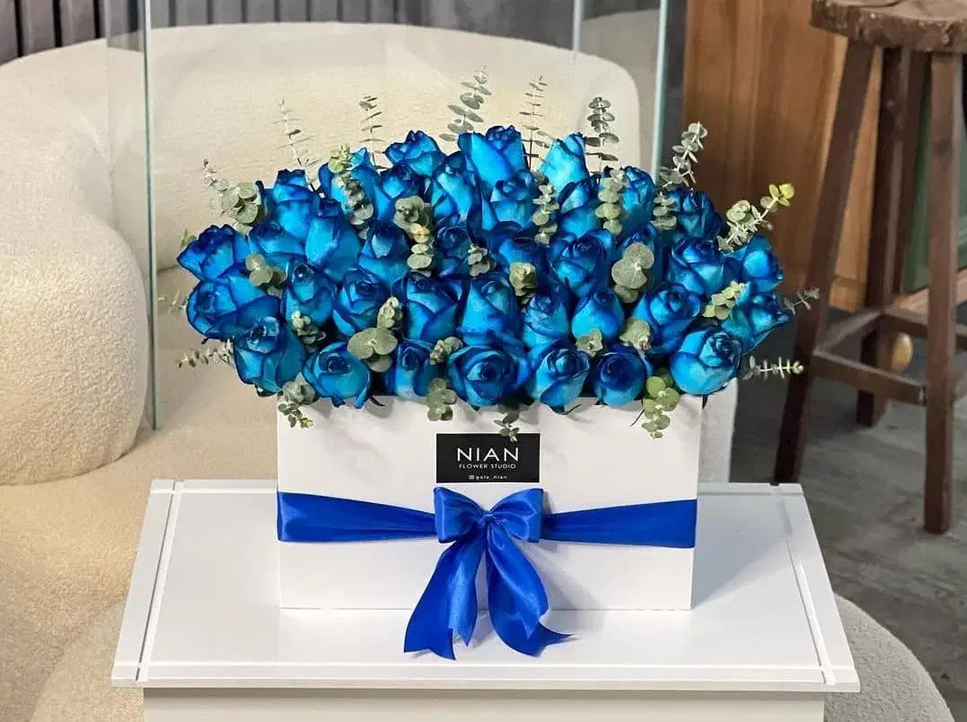 گل رز|گل و گیاه طبیعی|اصفهان, شاهزید|دیوار