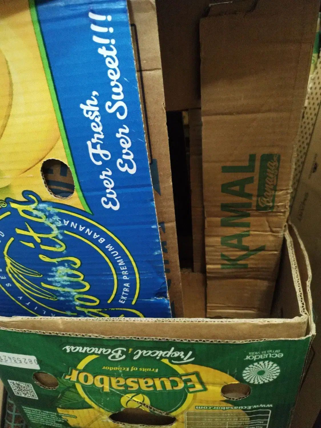 کارتن موزی سالم|ابزارآلات|تهران, اوقاف|دیوار