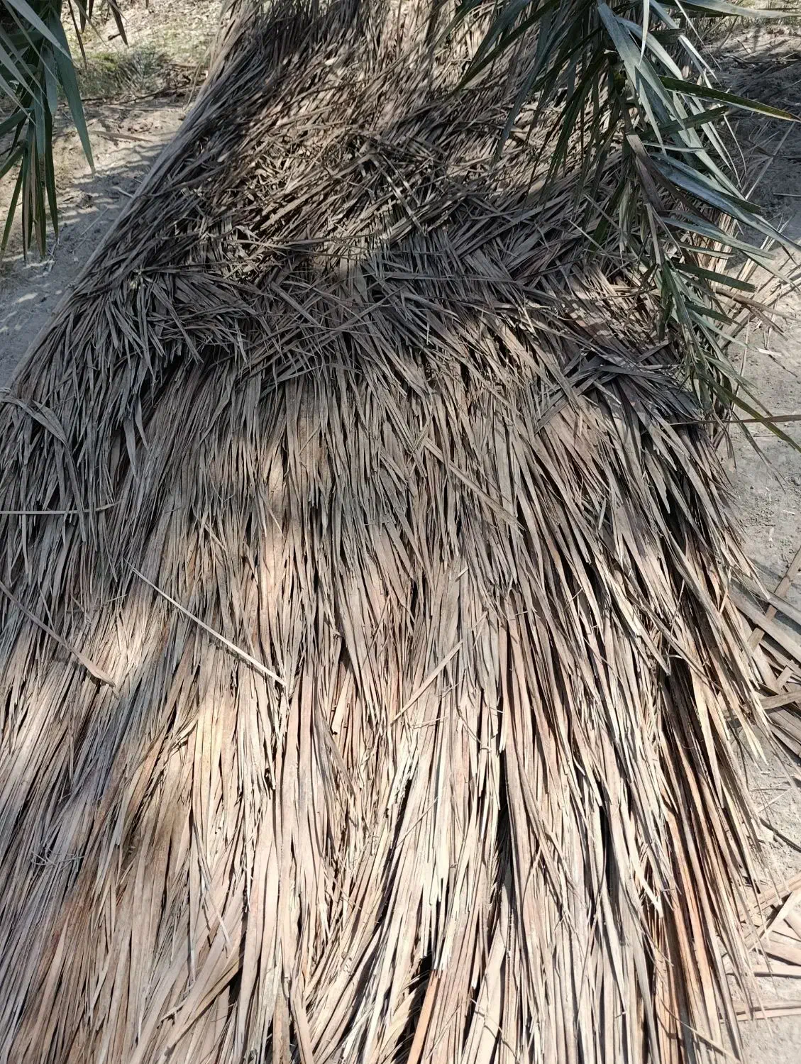 سوند ، فرش حصیری با چوب نخل صنایع دستی|صنایع دستی و سایر لوازم تزئینی|میناب, |دیوار