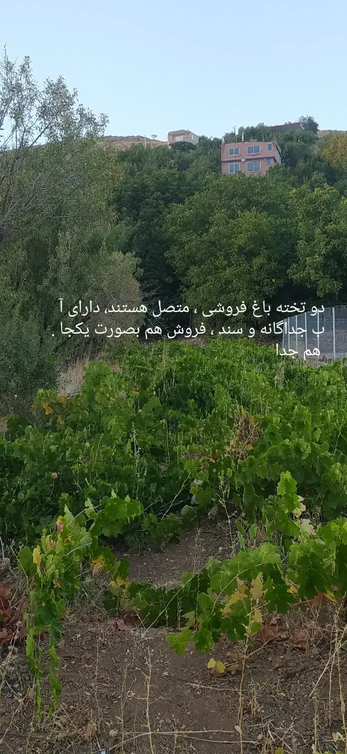 فروش باغ ، در شهرستان بسیار خوش آب و هوا|فروش زمین و ملک کلنگی|فریدونشهر, |دیوار