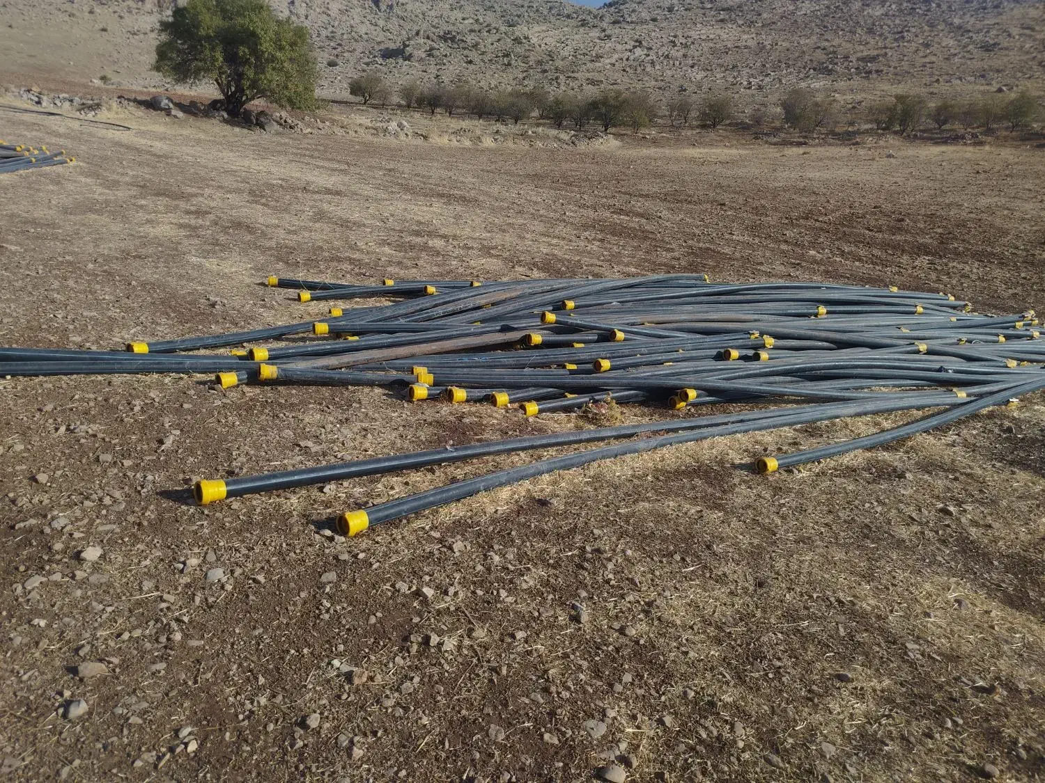 لوله نیوفیت طرح ترک ۸بار سایز۷۵|خدمات باغبانی و درختکاری|کرمانشاه, |دیوار