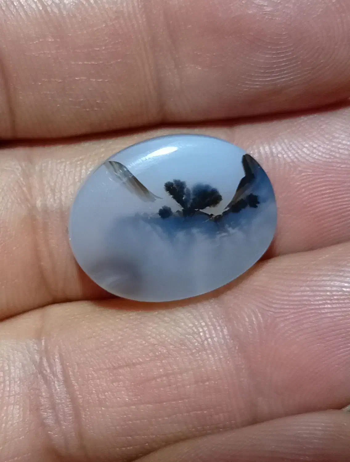 سنگ شجر|جواهرات|خمینیشهر, |دیوار