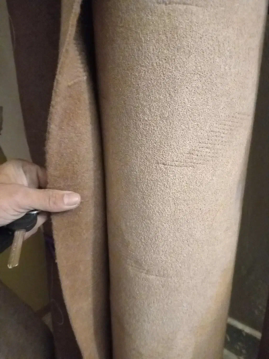 موکت|موکت|گرگان, |دیوار