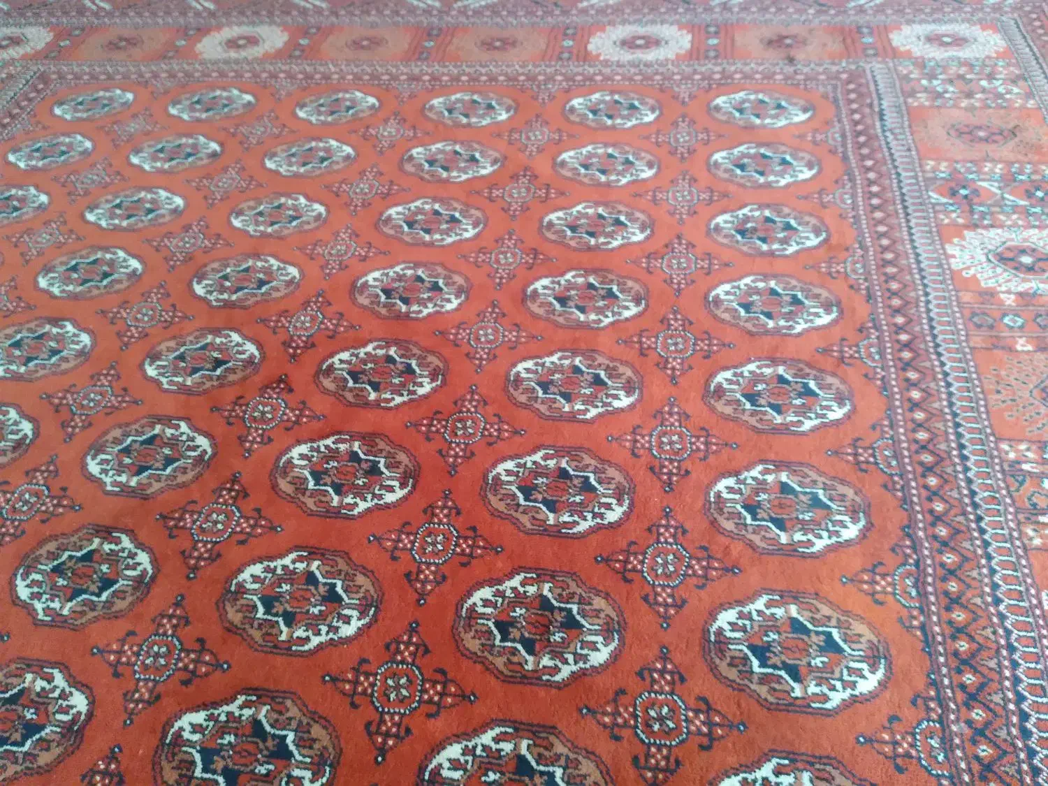 قالی ۳ت|فرش|گنبد کاووس, |دیوار