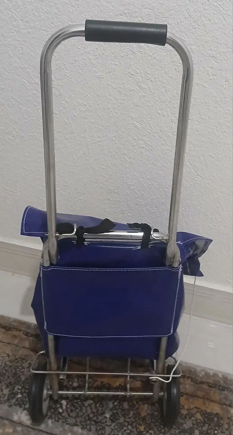 سبدخرید چرخدار|ظروف نگهدارنده، پلاستیکی، یک‌بارمصرف|بوشهر, |دیوار