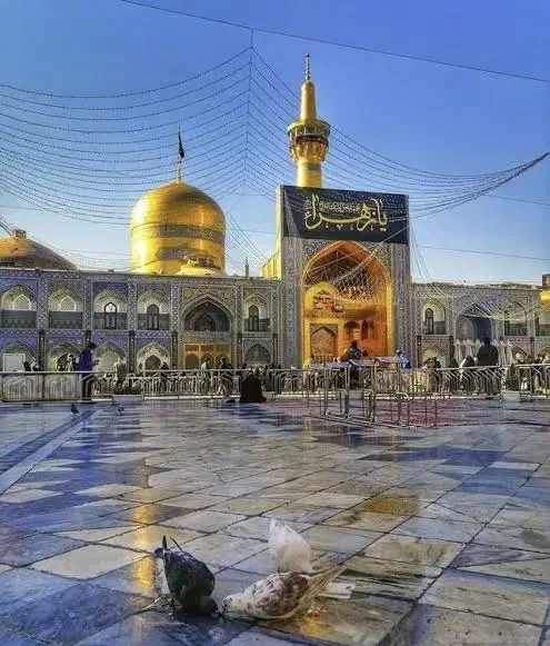 تور مشهد|تور و چارتر|کاشان, امام خمینی|دیوار