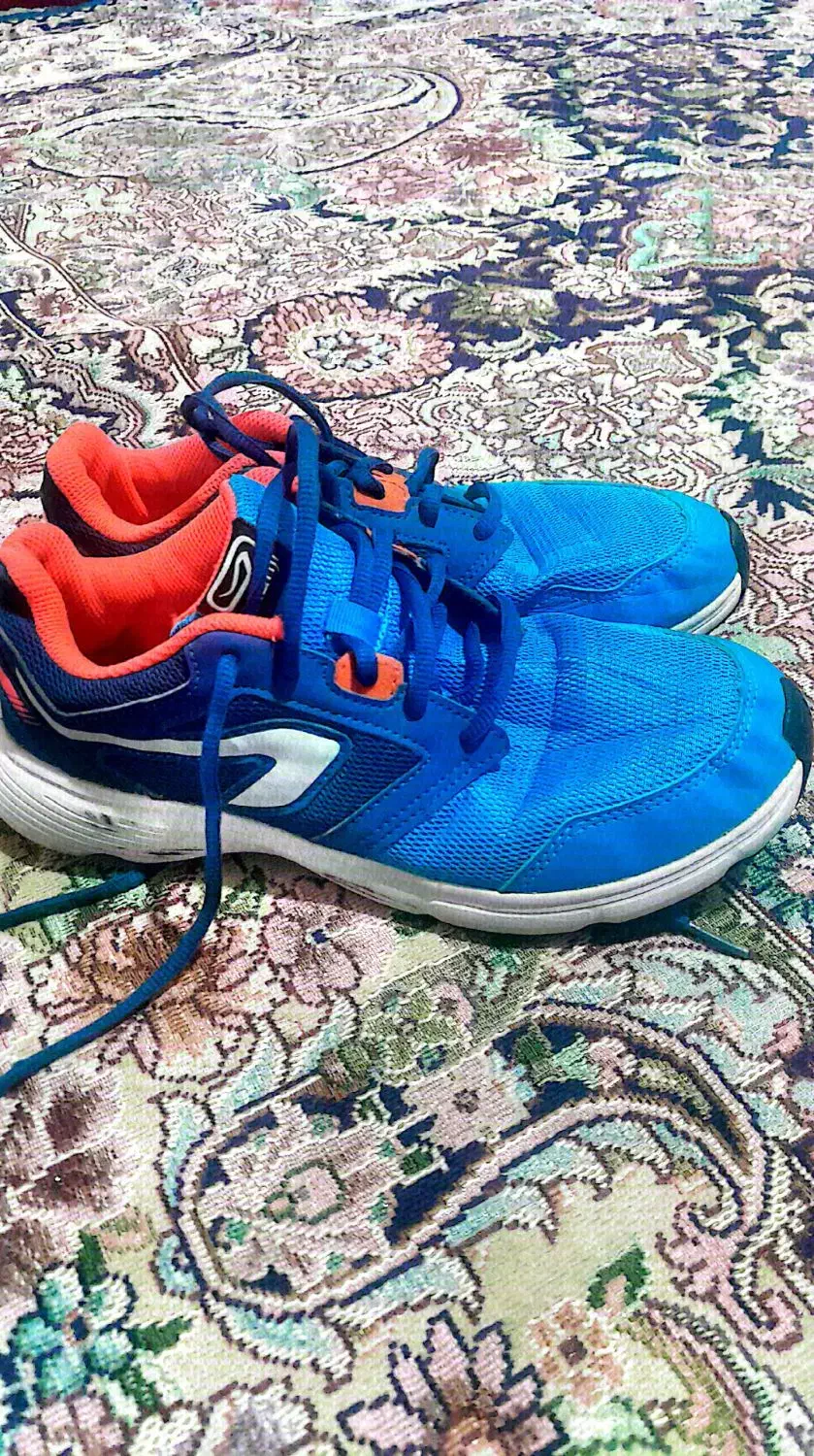 کتونی|کیف، کفش، کمربند|نیشابور, خیام|دیوار