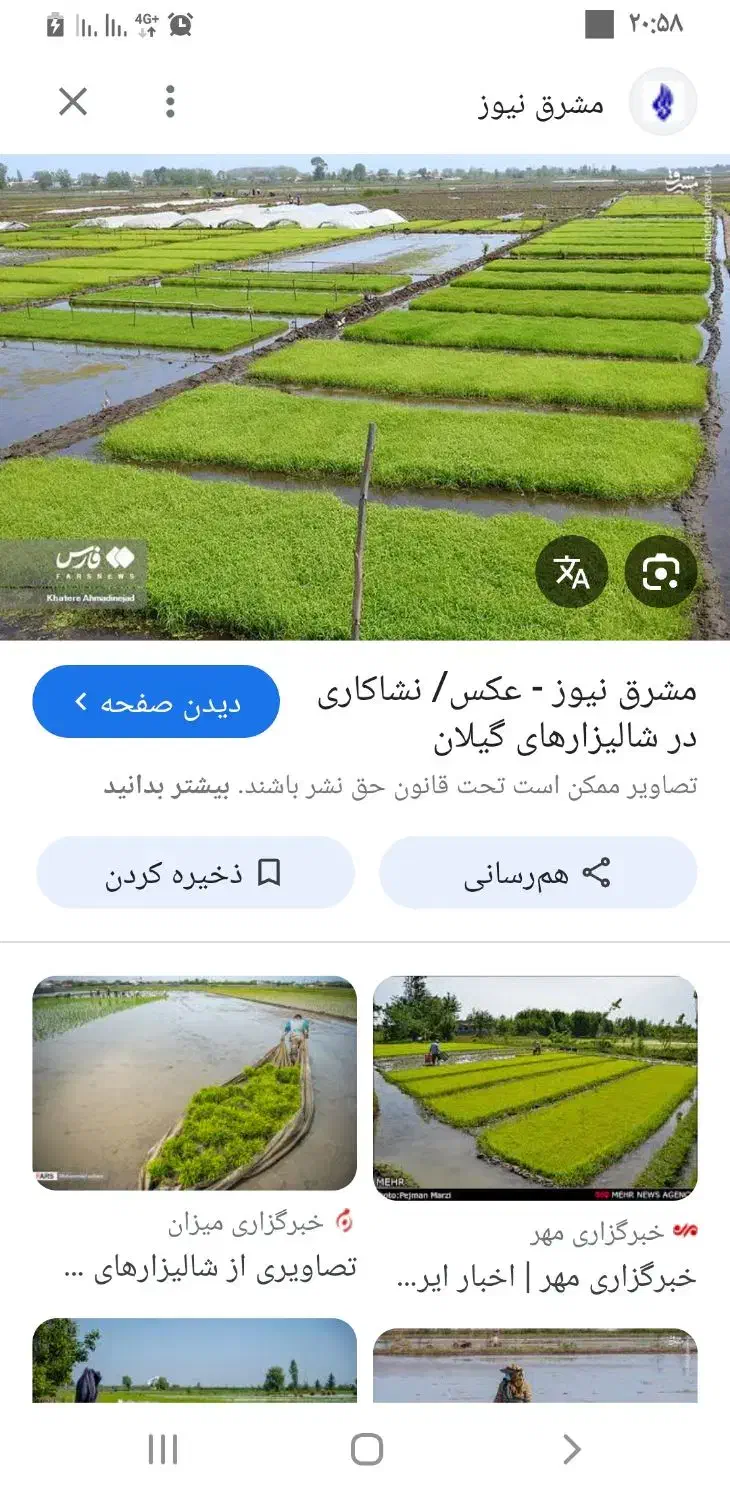 جهت همکاری زمین شالی دهقانی اطراف گرگان|خدمات باغبانی و درختکاری|گرگان, |دیوار