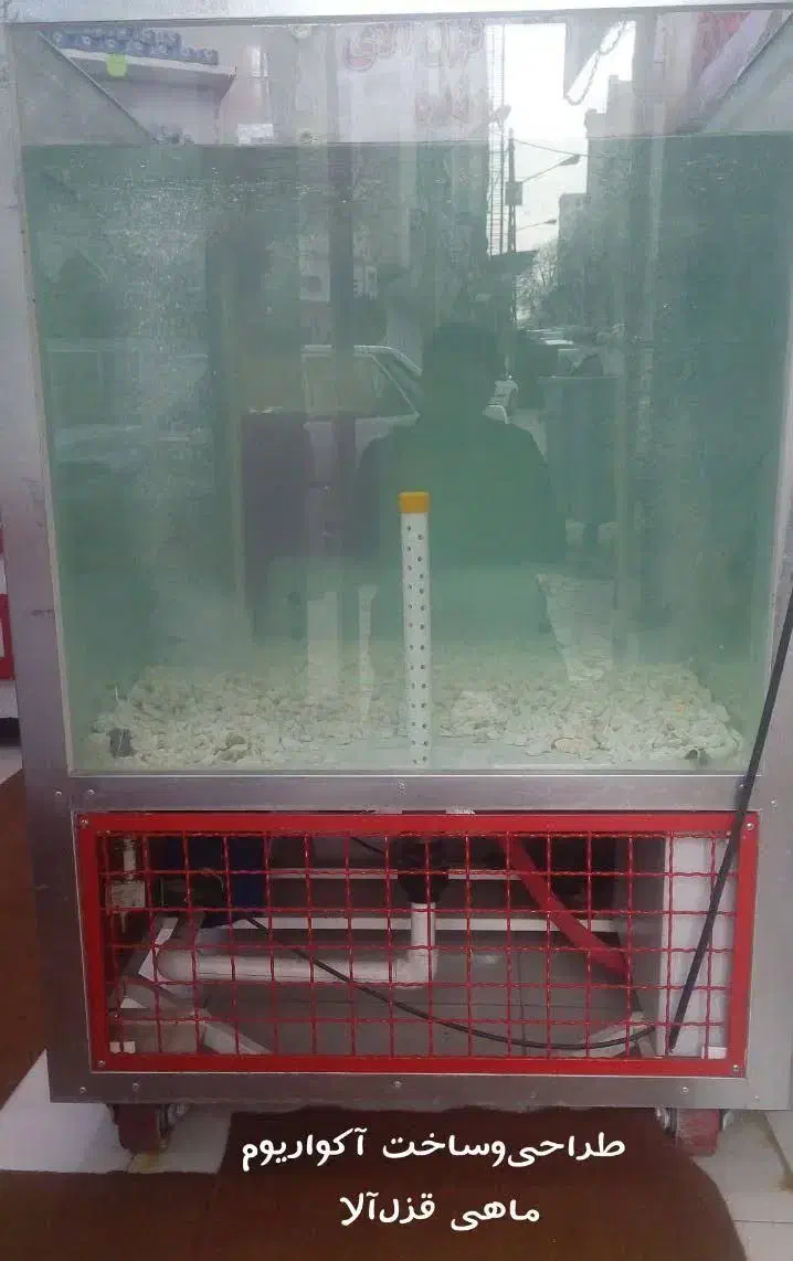 آکواریوم صنعتی قزل الا|فروشگاه و مغازه|فردیس, نیروگاه برق|دیوار