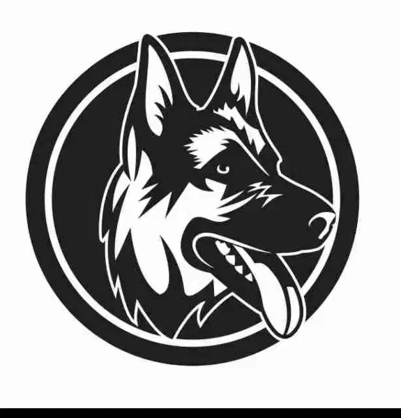 سگ پیدا شده|حیوانات|تهران, شوش (باغ آذری)|دیوار