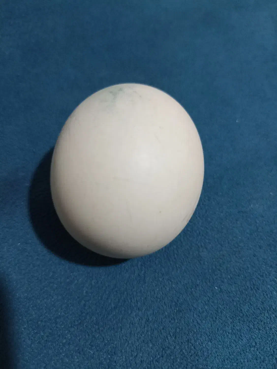 الماس آسیاب|جواهرات|شیراز, لاله|دیوار