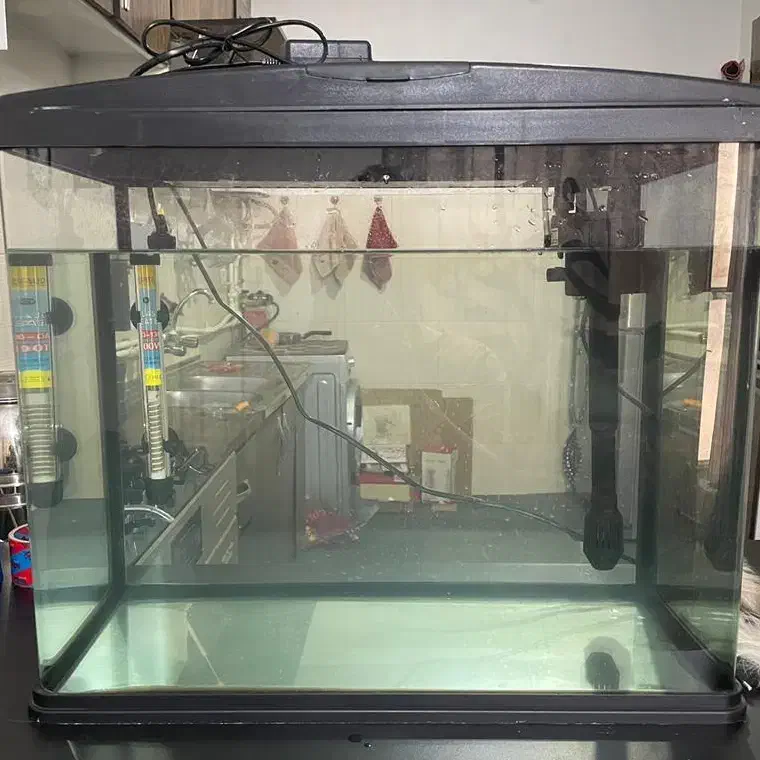 آکواریوم|ماهی|ساوه, |دیوار