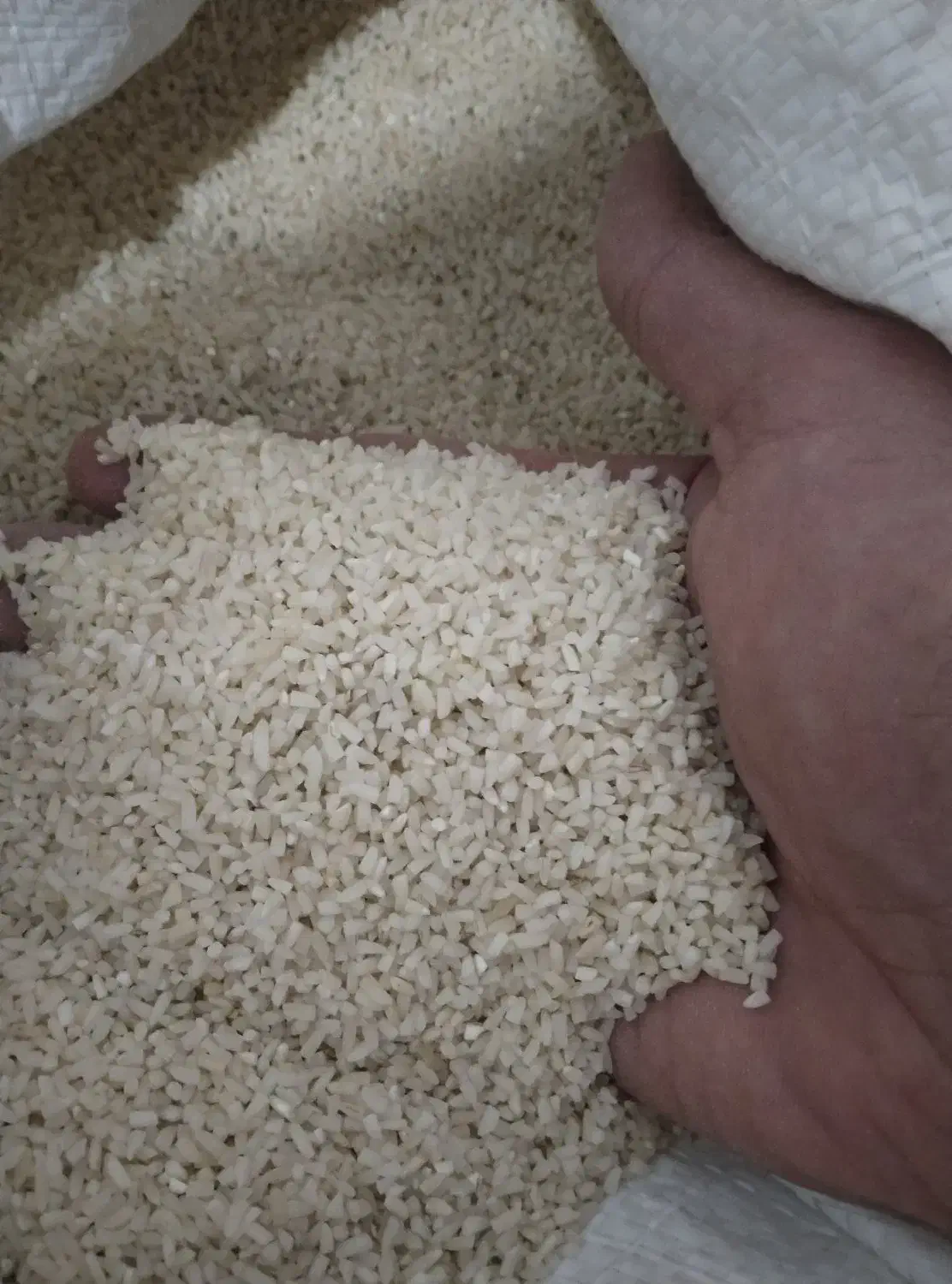 برنج هاشمی|خوردنی و آشامیدنی|هشتگرد, شهرک ولیعصر (مصلی)|دیوار