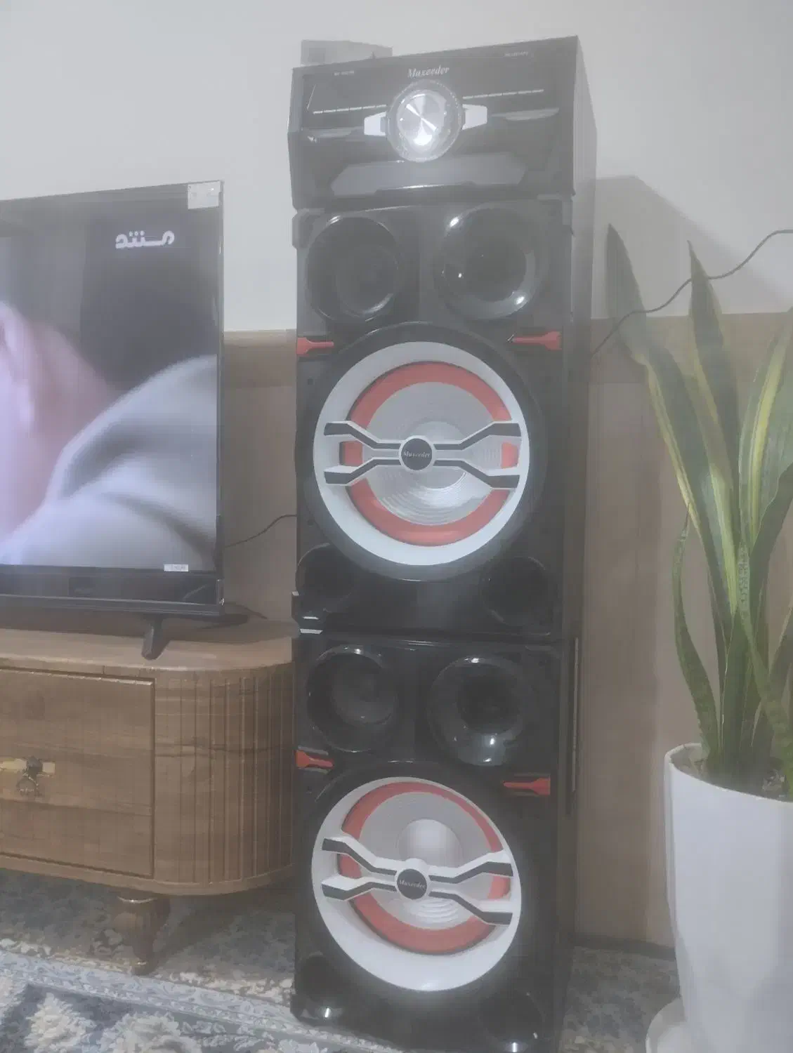 اسپیکر|سیستم صوتی خانگی|همدان, |دیوار