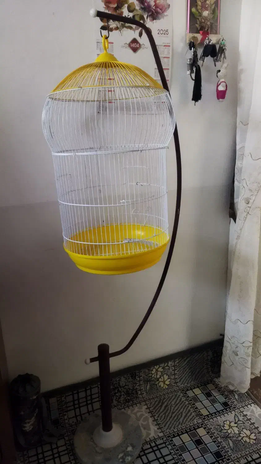 قفس و پایه ۱۰۰۰۰۰۰|لوازم جانبی حیوانات|بهمن صغاد, |دیوار