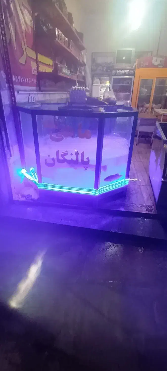 اکواریوم ماهی قزل آلا|فروشگاه و مغازه|سریش آباد, |دیوار